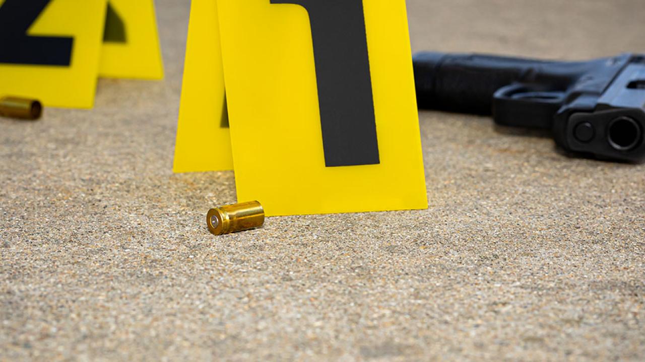 Crime scene numbers