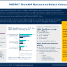 preprint the maga movement and political violence in 2024